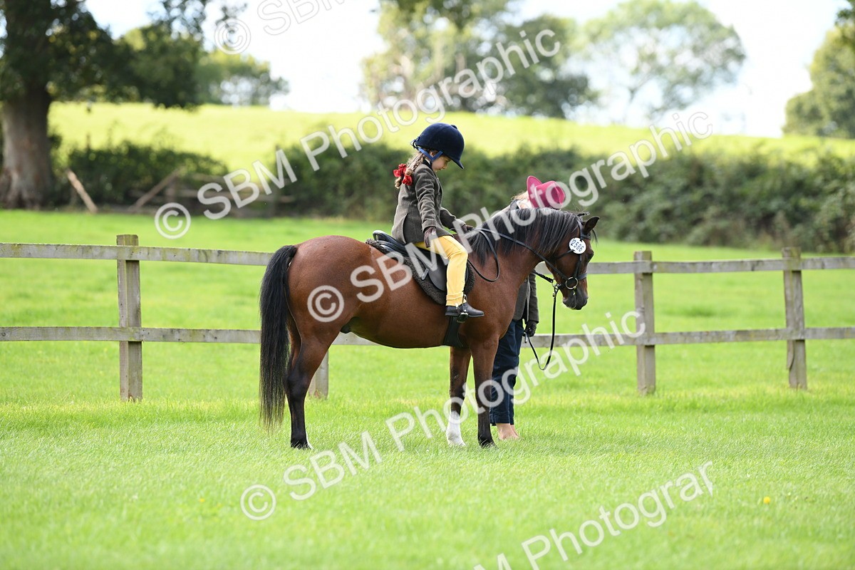 SBM_42495 - S20 - Lead Rein Mountain & Moorland Pony