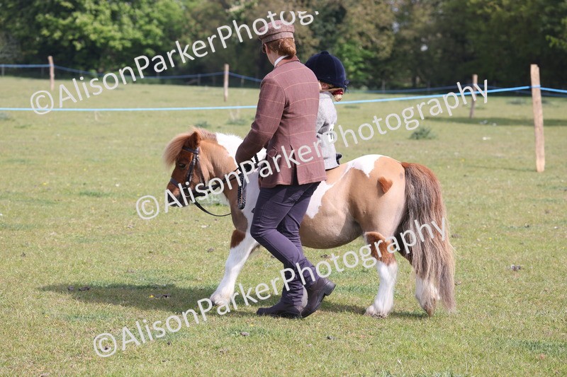20260426-0553 - Class 30 - Tiny Tots Lead Rein