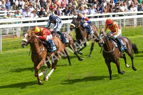 yr10062022r3-30 - Race 3 3.00pm British EBF supporting Racing with Pride Fillies' Handicap