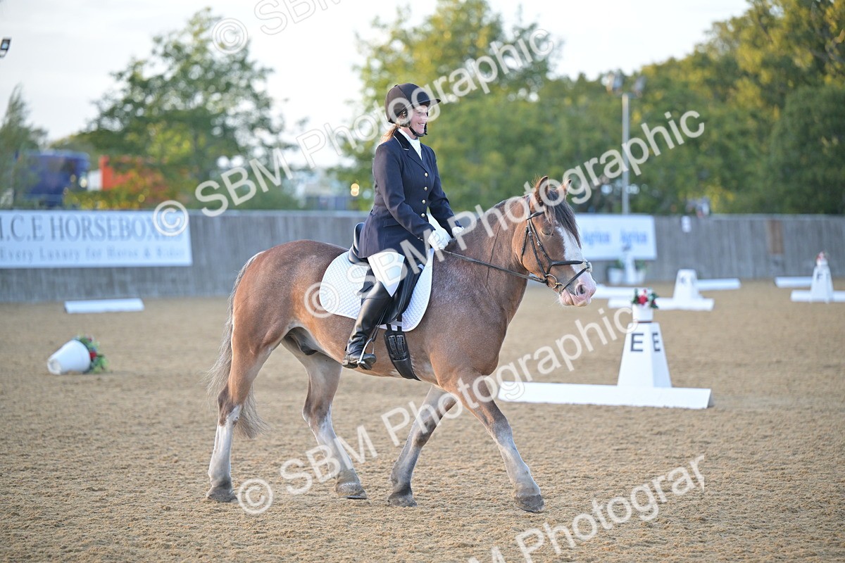 SBM_13524 - D3 - Small Tour Championship Intro 3