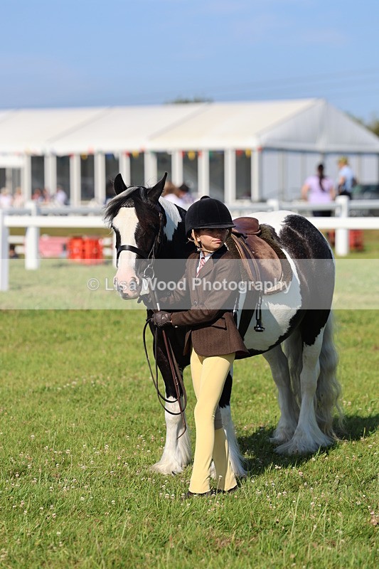 IMG_1569 - Class 30: Ridden Native/Trad Coloured Pony