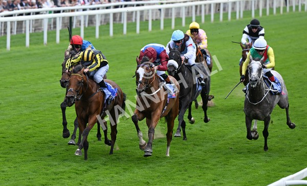 220825-002 Asgards Captain - Race 1 1.50pm Sky Bet Handicap