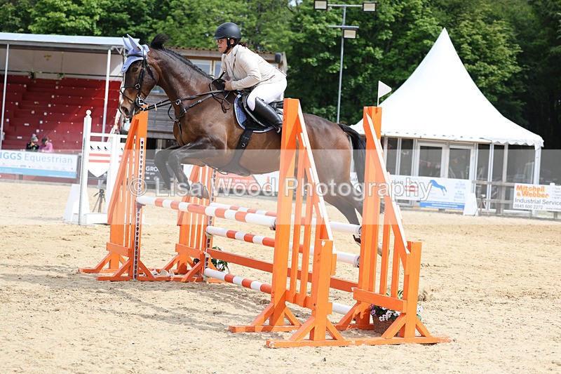 3E7A8661 - Class 4: Senior British Novice/90cm open