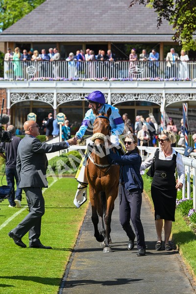 140525-Race 2-Rousing Encore-1925 - Race 2 2.42pm Churchill Tyres Handicap