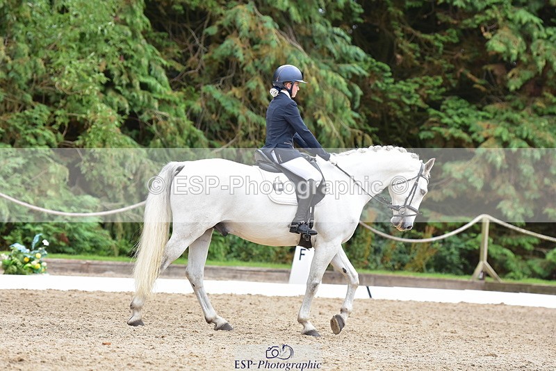 250719A-153706-06903 - 024-Neve.Moran-Clareville.Golden.Knight