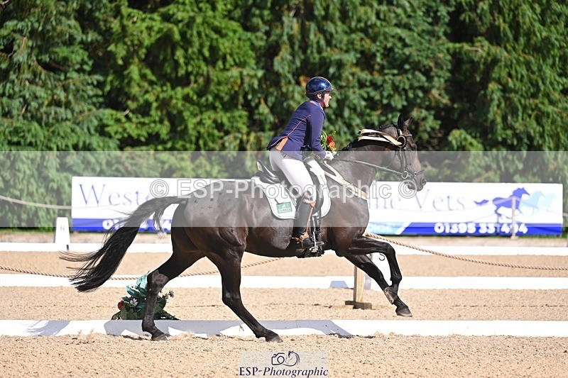 240809-162540-02377 - Preliminary Gold