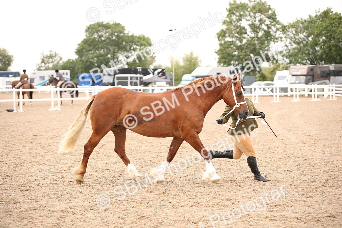 SBM_21470 - Class 706 - IH  Veteran