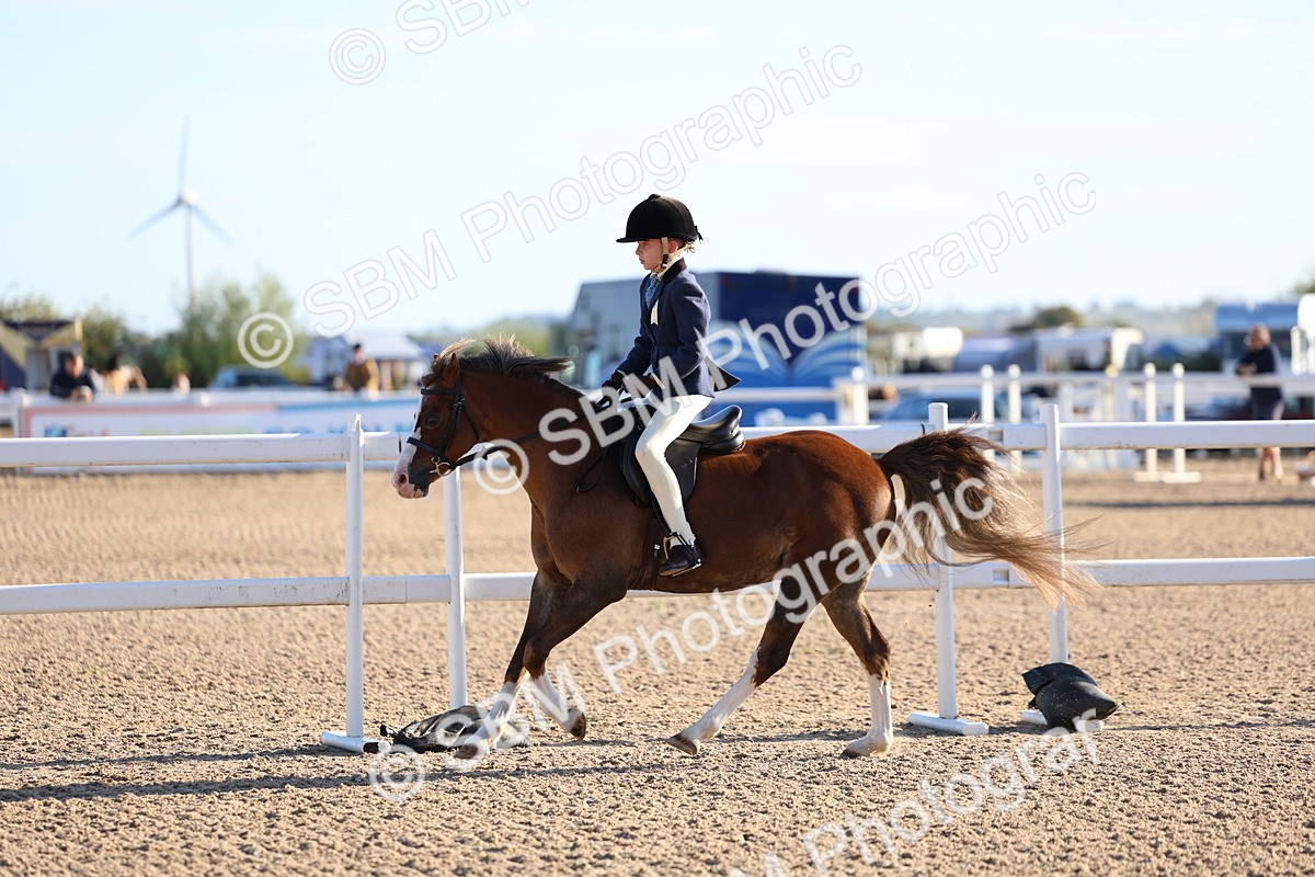 SBM_07818 - Class 301 - Ridden M&M - Small Breeds