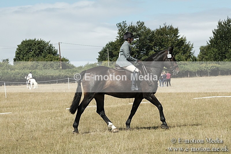 _PJP5818 - Dressage Classes BVRC Show 2018