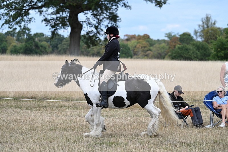 WJ7_4464 - Class 11 Family Mount
