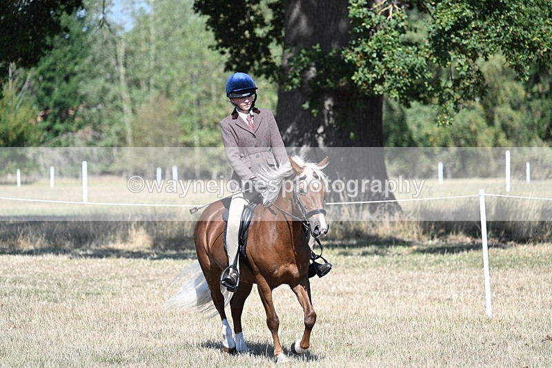 WJ7_3992 - Class 9 Mountain & Moorland Ridden