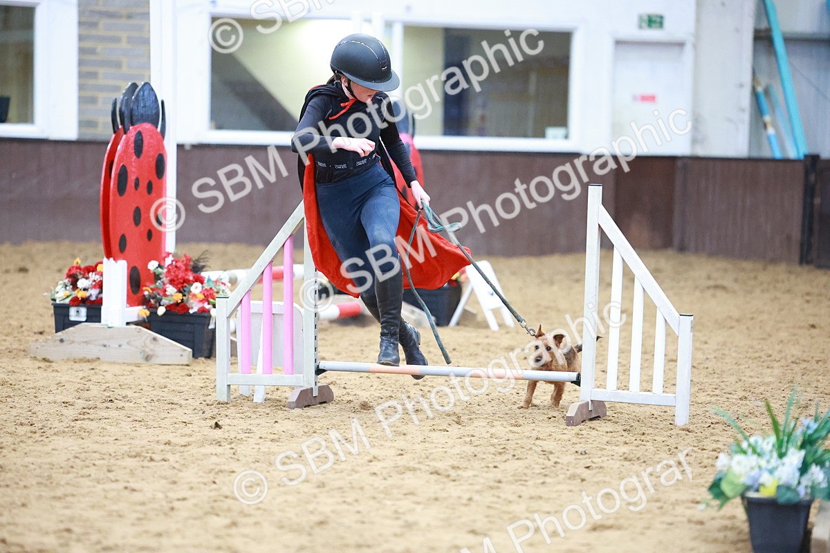 SBM_001778 - Class 3 - Horse & Hound (60cm)