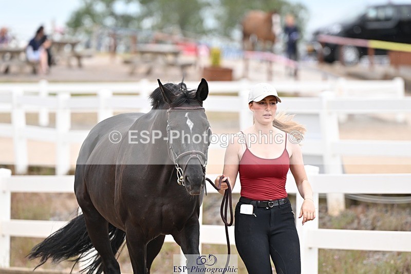 250716-161244-02499 - Trot Up 3.30 to 4.30