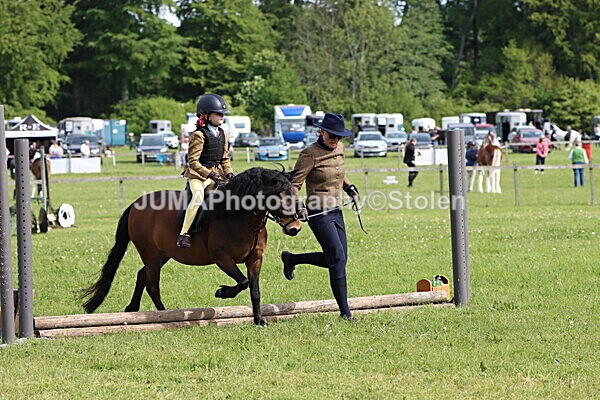 IMG_2158 - Working Hunter