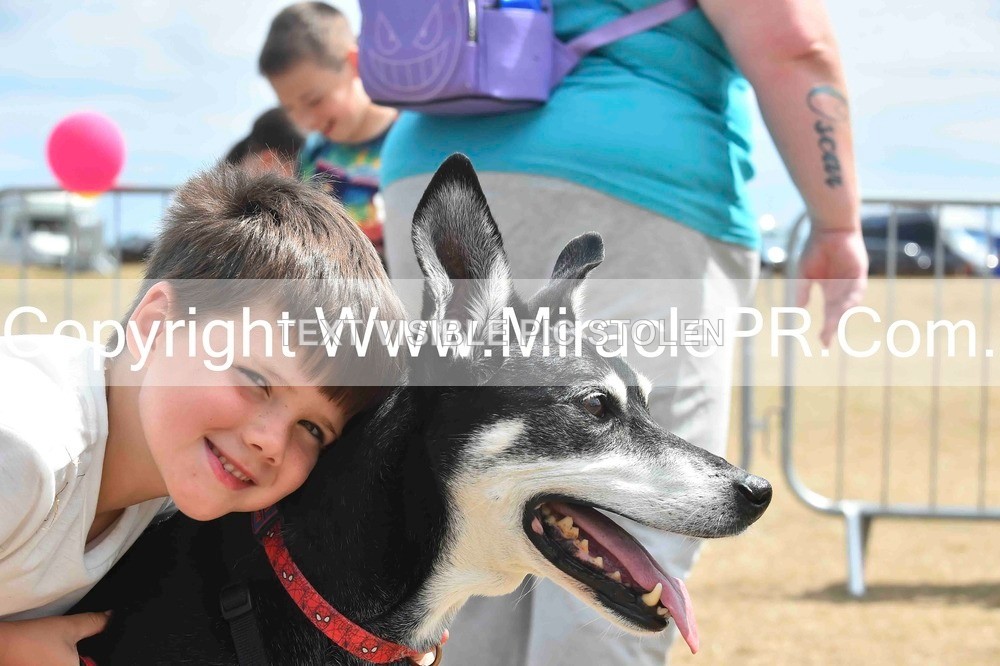 SH4_0109 - Dog show.