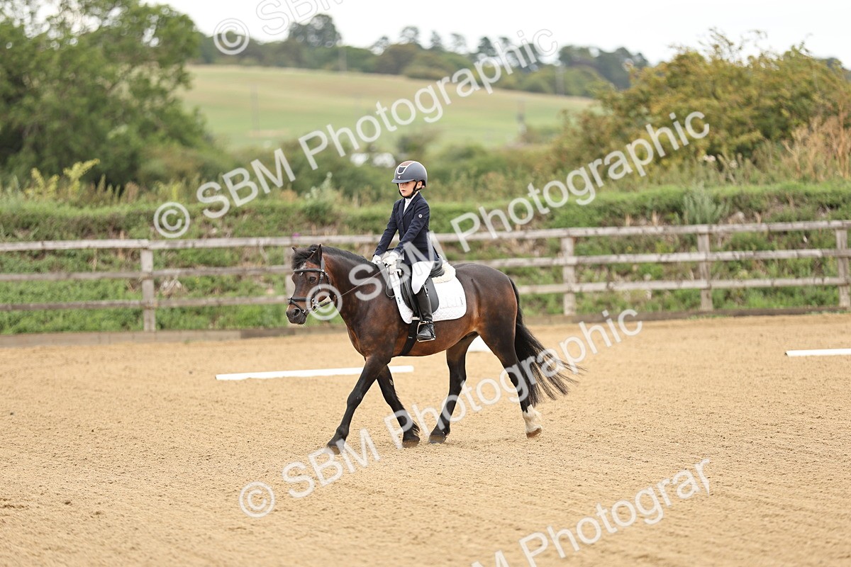 SBM_002067 - Intro 1-2