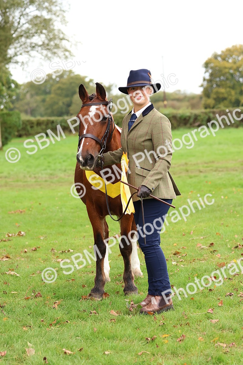 SBM_41749 - S26 - Mature Veteran In Hand