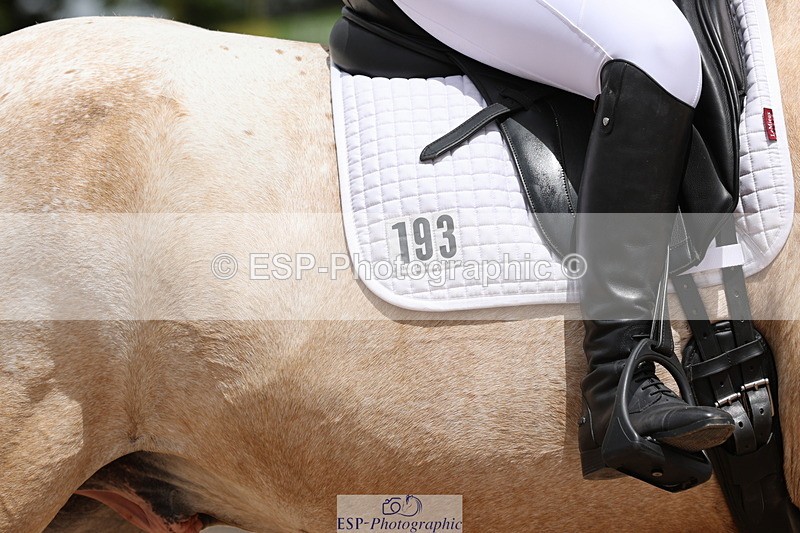 240622A-140608-11908 - Cls 29 BD Elementary 45