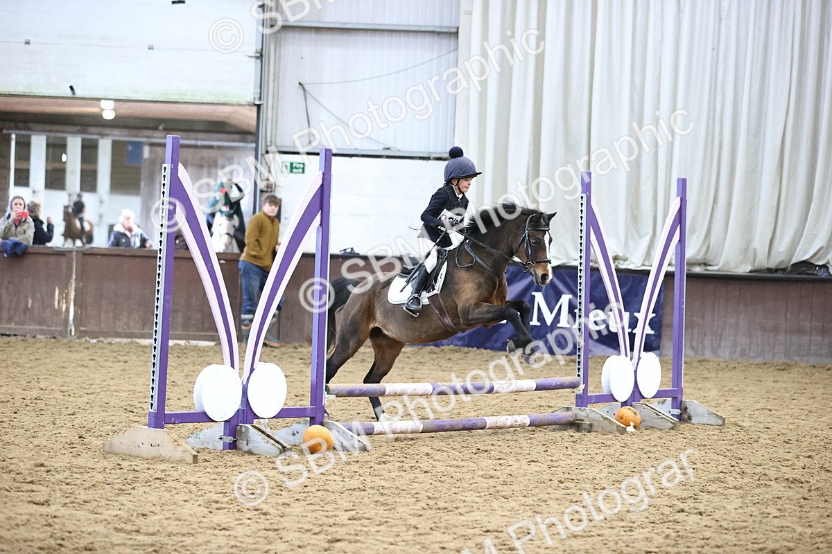 SBM_000599 - Class 2 - Show Jumping 50cm