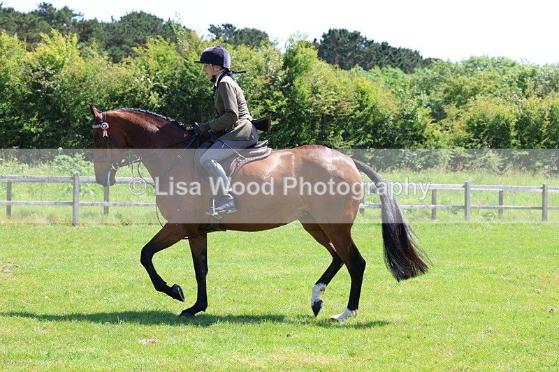 3E7A8072 - Working Hunter Championship