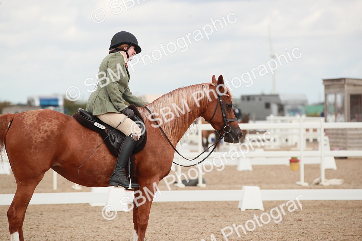 SBM_06013 - Class 32 - Novice 1