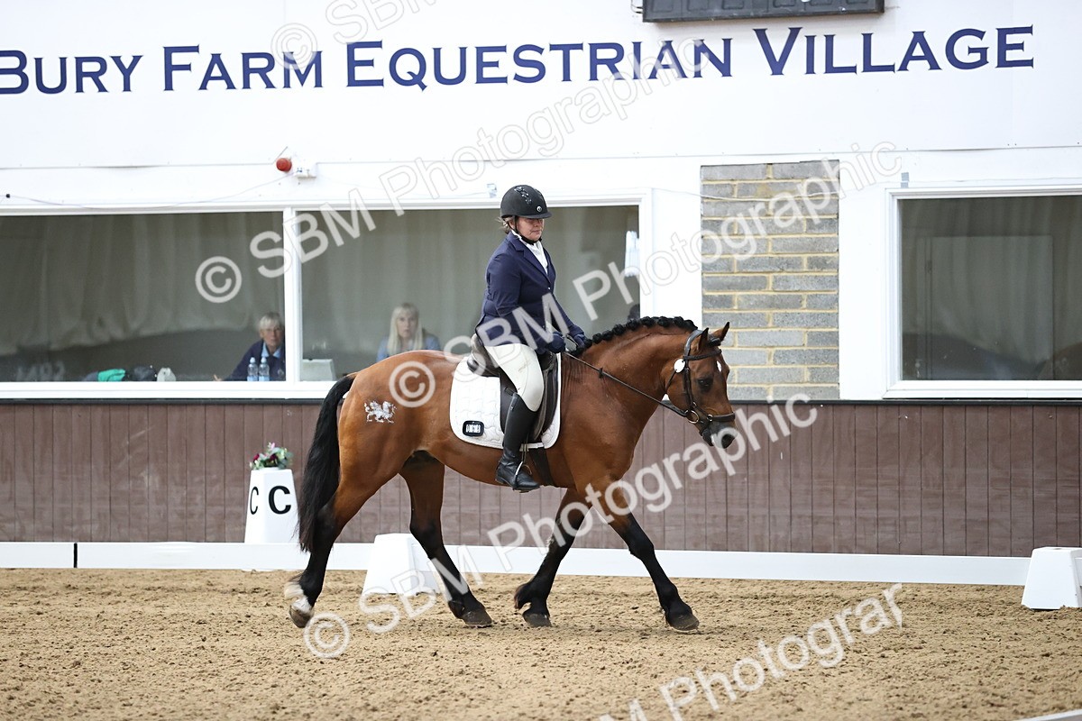 SBM_010409 - Class 3 - Prelim FSM