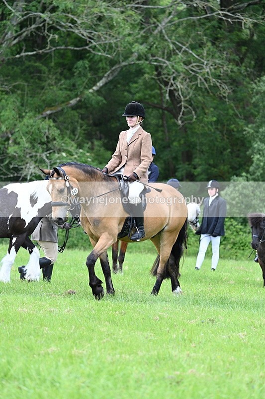 WJ7_1406 - Class 11 Condition & Turnout