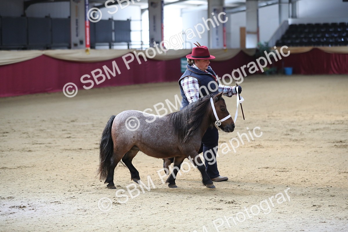 SBM_01336 - Class 3a Area IH Pre Vet