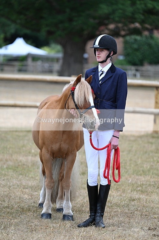 WJ7_9651 - Class 5 Most Handsome Gelding (up to 14.2hh)