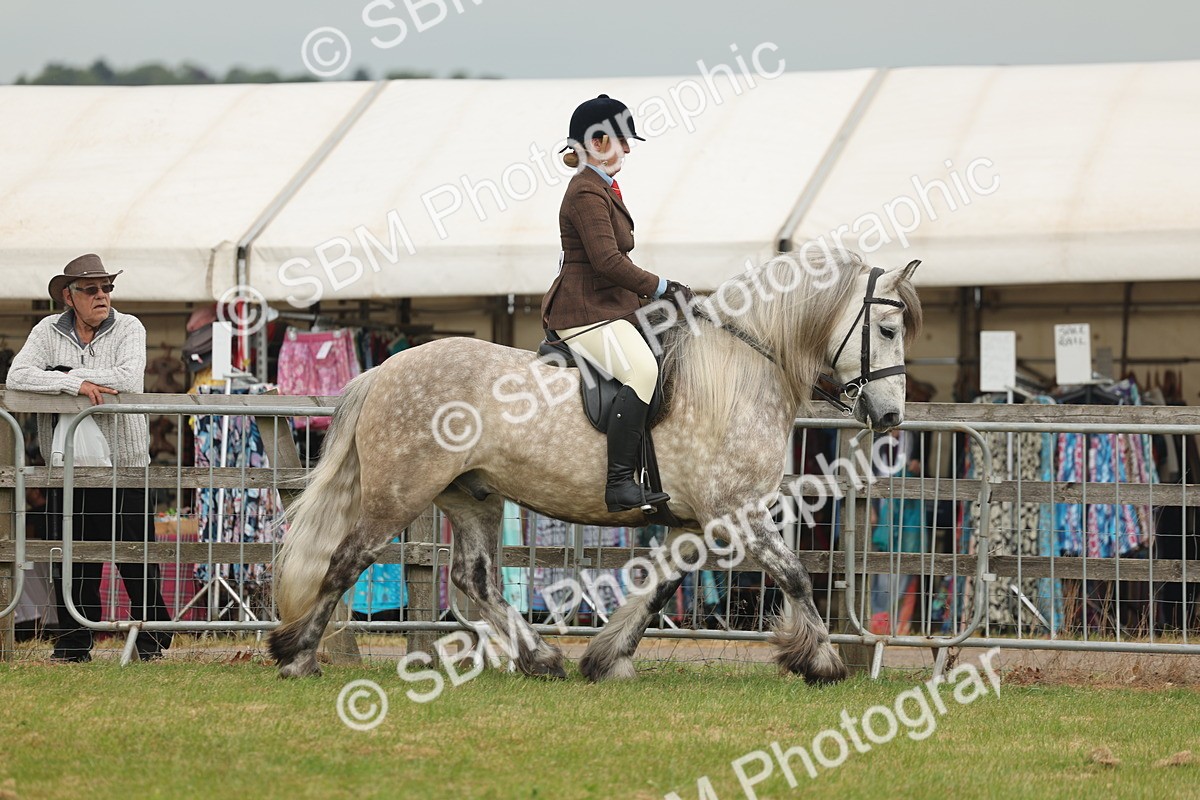 SBM_08927 - Class 78-80 - Ridden M&M Non Welsh Ponies