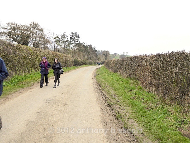 006  Quite spread out today - York Minster Walkers Collection 2026
