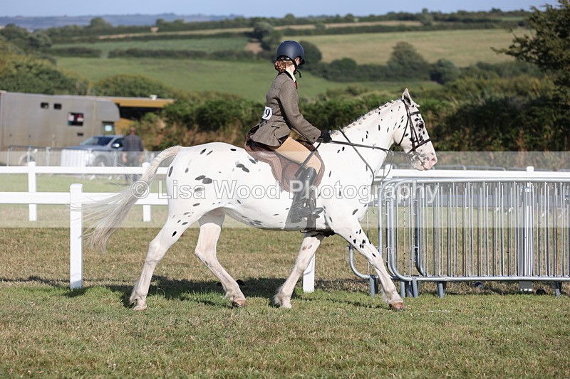 JPP_3278 - Class 21: Working Hunter 80cm