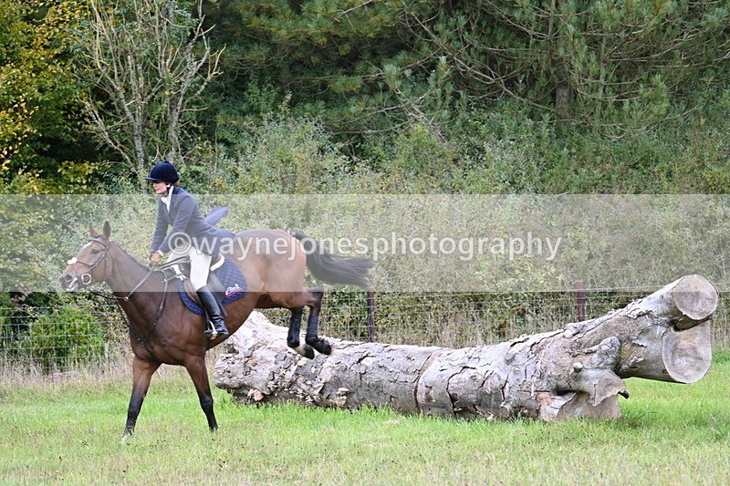 WJ7_3692 - Camera 1 Line 1