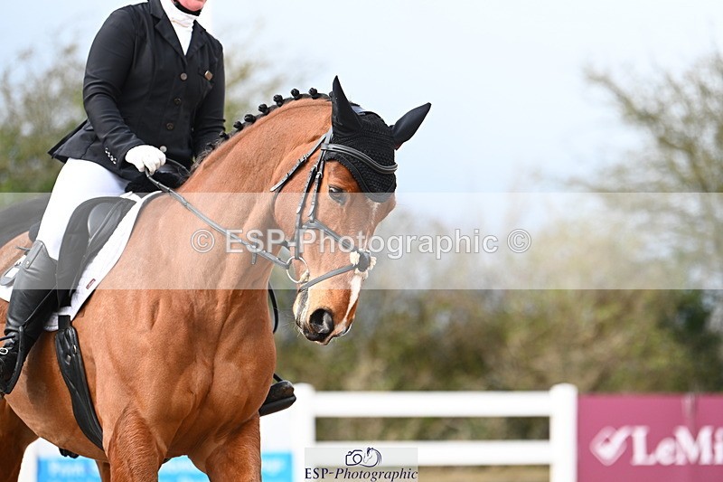 240323A-125046-02935 - DR Novice 34