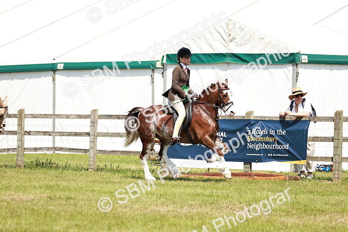 SBM_15755 - Class 108-109 - BSPS LIHS Open Gradle & Nursery Stakes