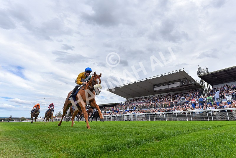 300825-Race 2-Shagraan-2 - Race 2