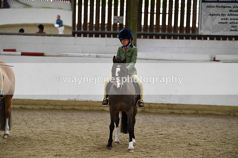 WJ5_7041 - Class 10 Childs Pony