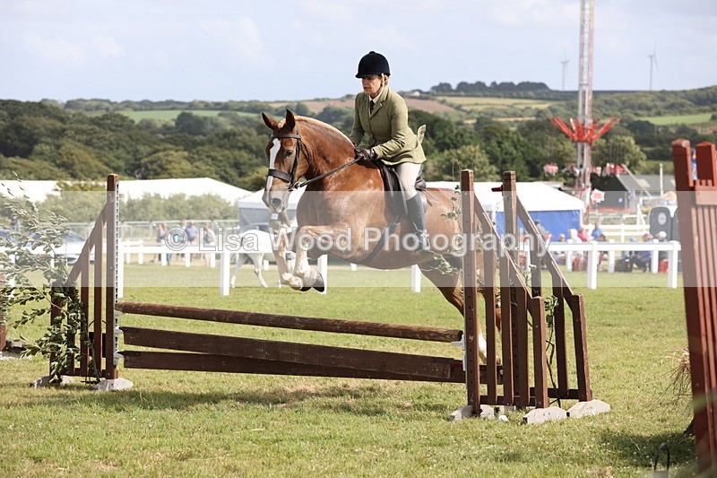 JPP_2530 - Class 20: Working Hunter 70cm