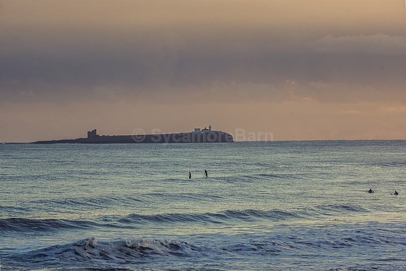 Winter surfing - Seascape