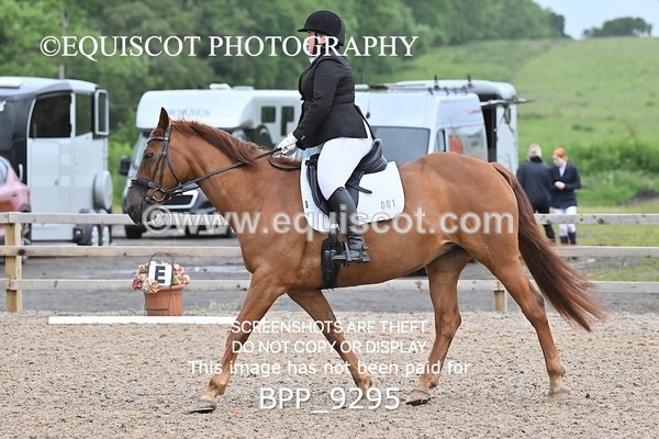 BPP_9295 - 1 G NEIL