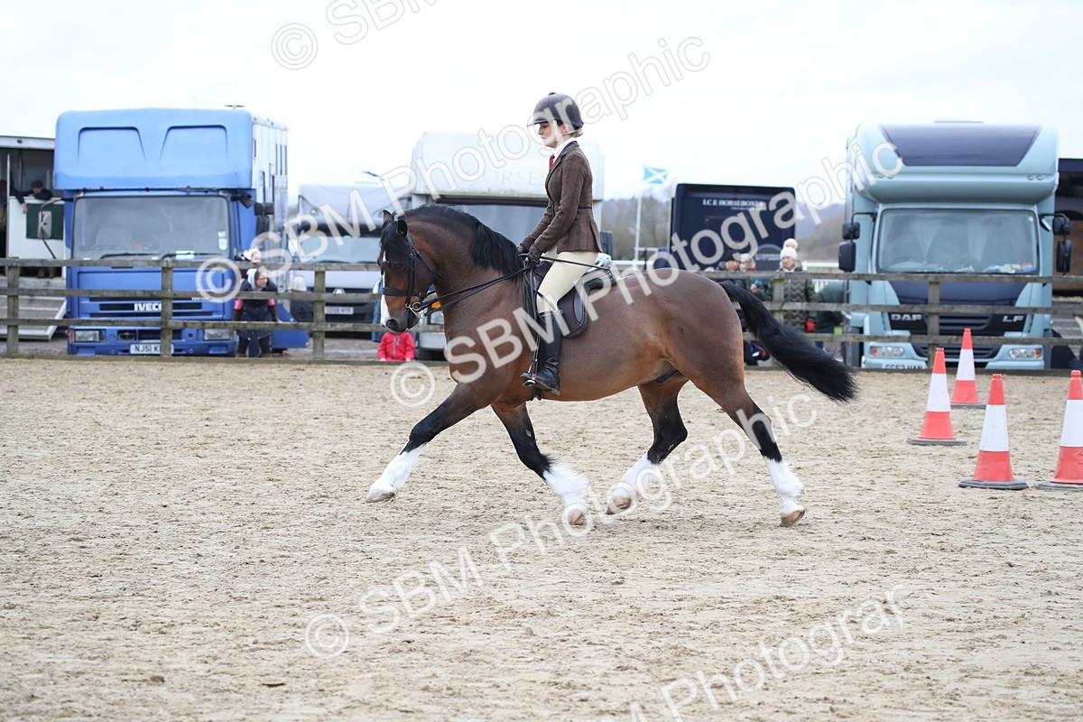 SBM_006385 - Class 10-13 - RIHS Small Large Breeds