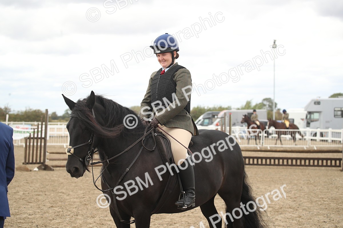 SBM_17713 - Class 508a - Working Veteran 70cm (15-19)