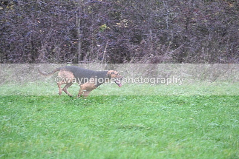 WJ7_9515 - Camera A