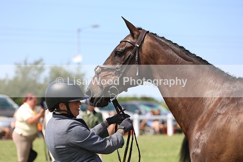 JPP_3390 - Class 22: Working Hunter 70cm