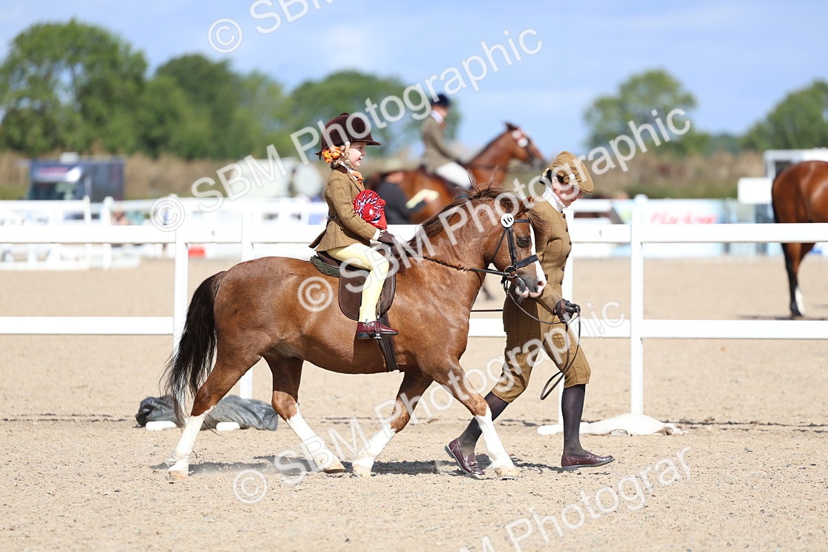 SBM_13125 - Class 309 - Lead Rein Pony