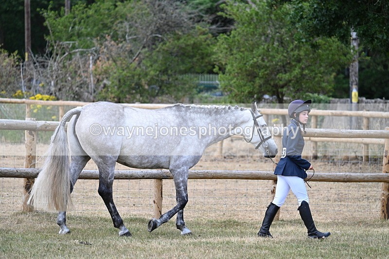 WJ7_1812 - Class 4a Prettiest Mare 14.2hh and over hand