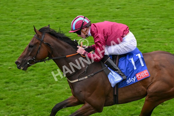210824-Race 5-Extensio-5428 - Race 5 4.10pm Sky Bet Stayers Handicap