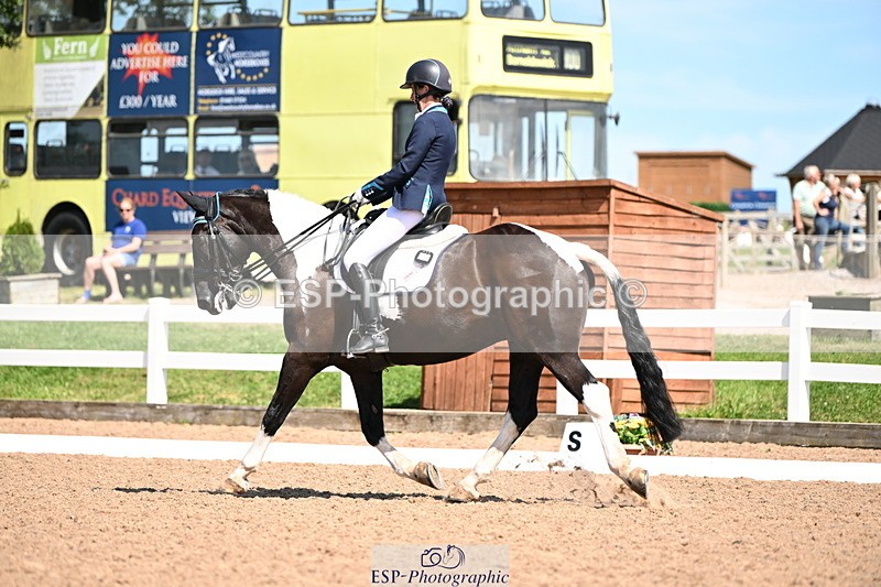 240816A-141836-05548 - 275-Alys.Matravers-Tiger.Mazariti