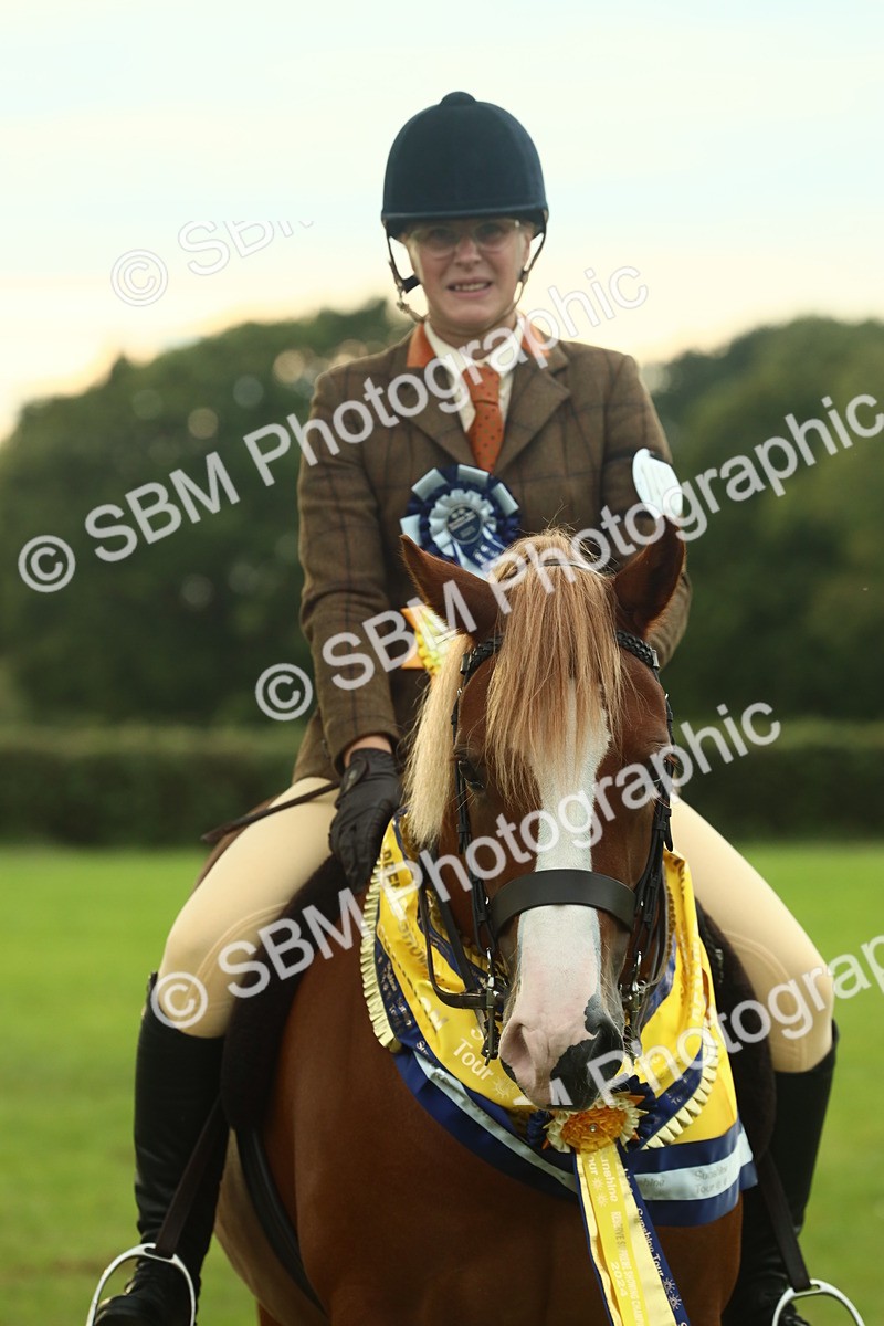 SBM_75314 - Super Supreme Championship