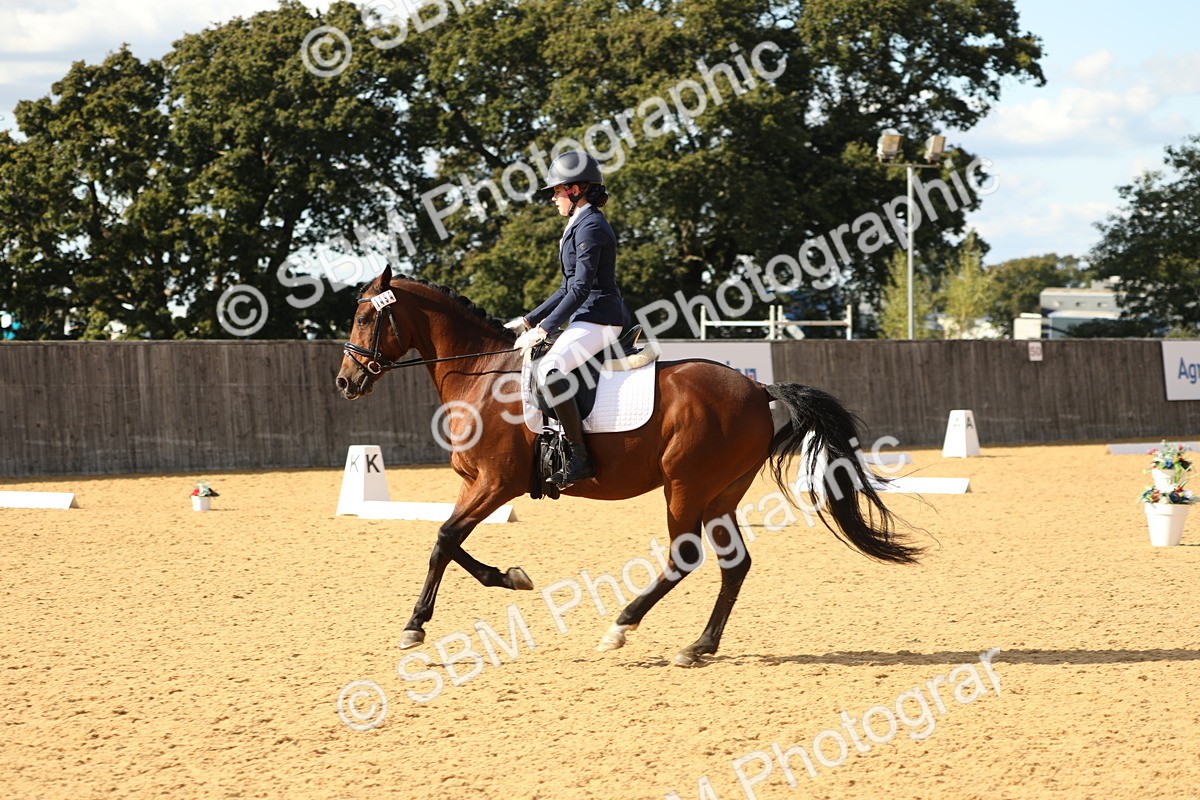SBM_26643 - D17 - Grand Tour Championship - Novice 27
